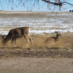 Event Prep - Rocky Mountain Arsenal